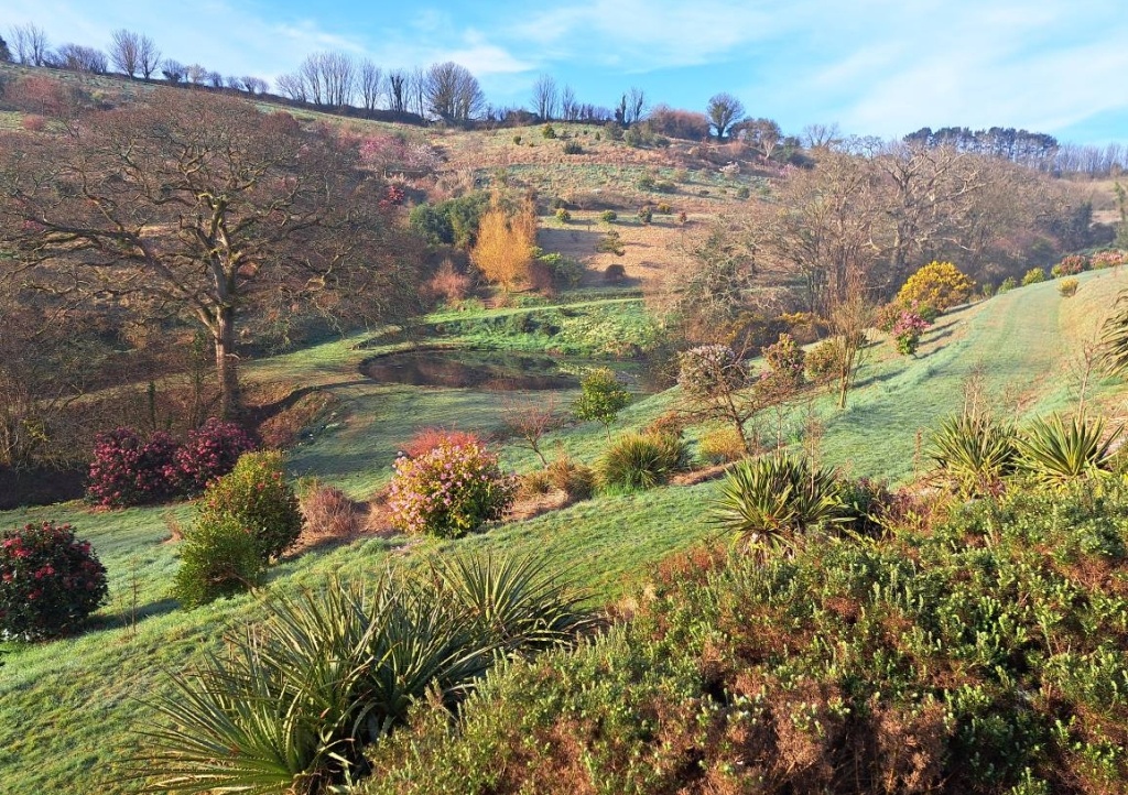 Green fields