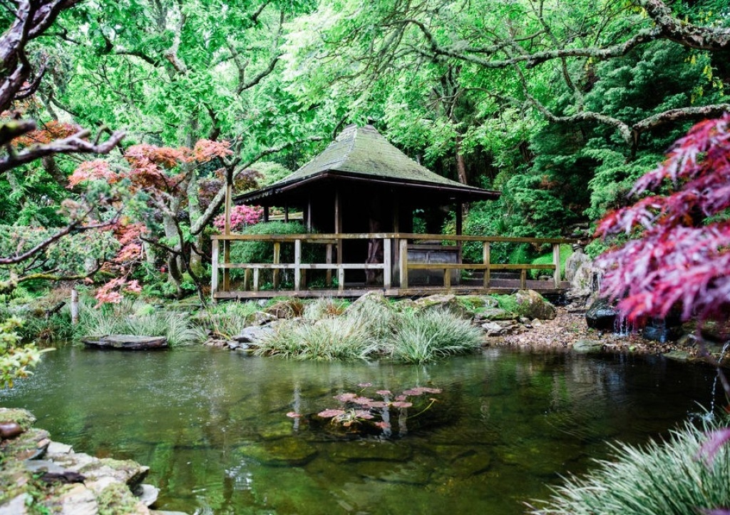 Japanese garden
