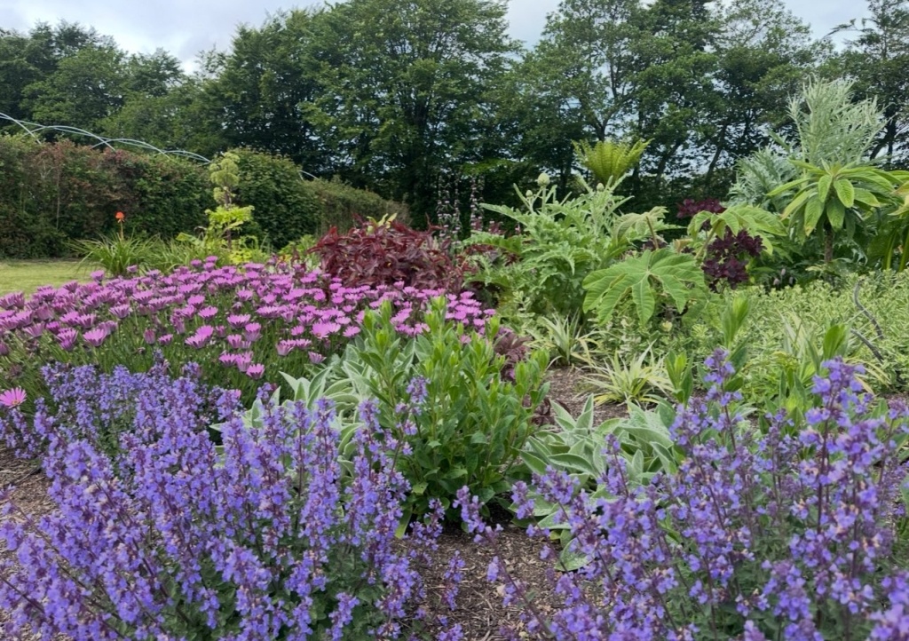 Mitchell fruit garden
