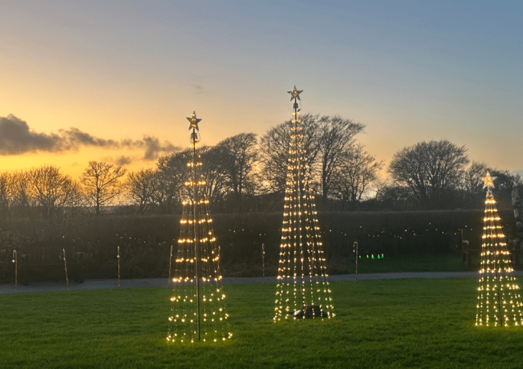 The lights in Little Harbour's garden