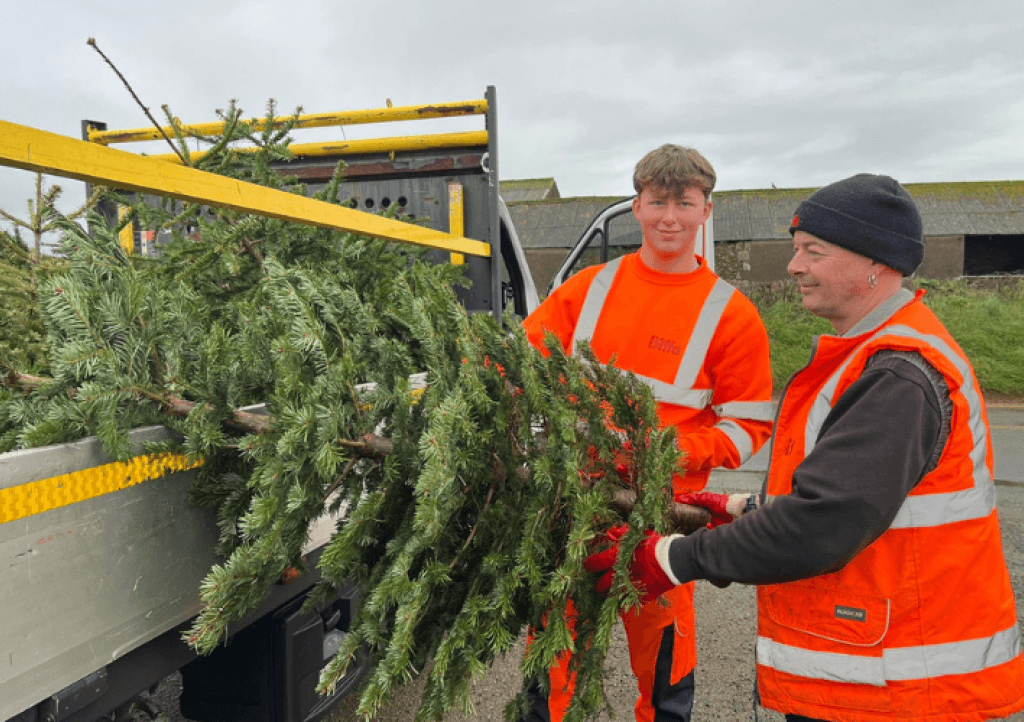 Biffa collecting trees