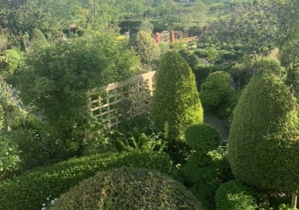 Eastfield Open Garden, Somerset