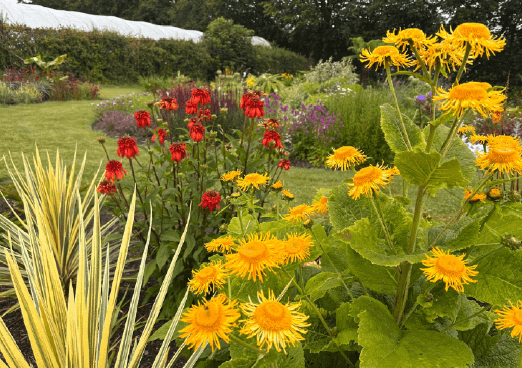 Mitchell Fruit Garden