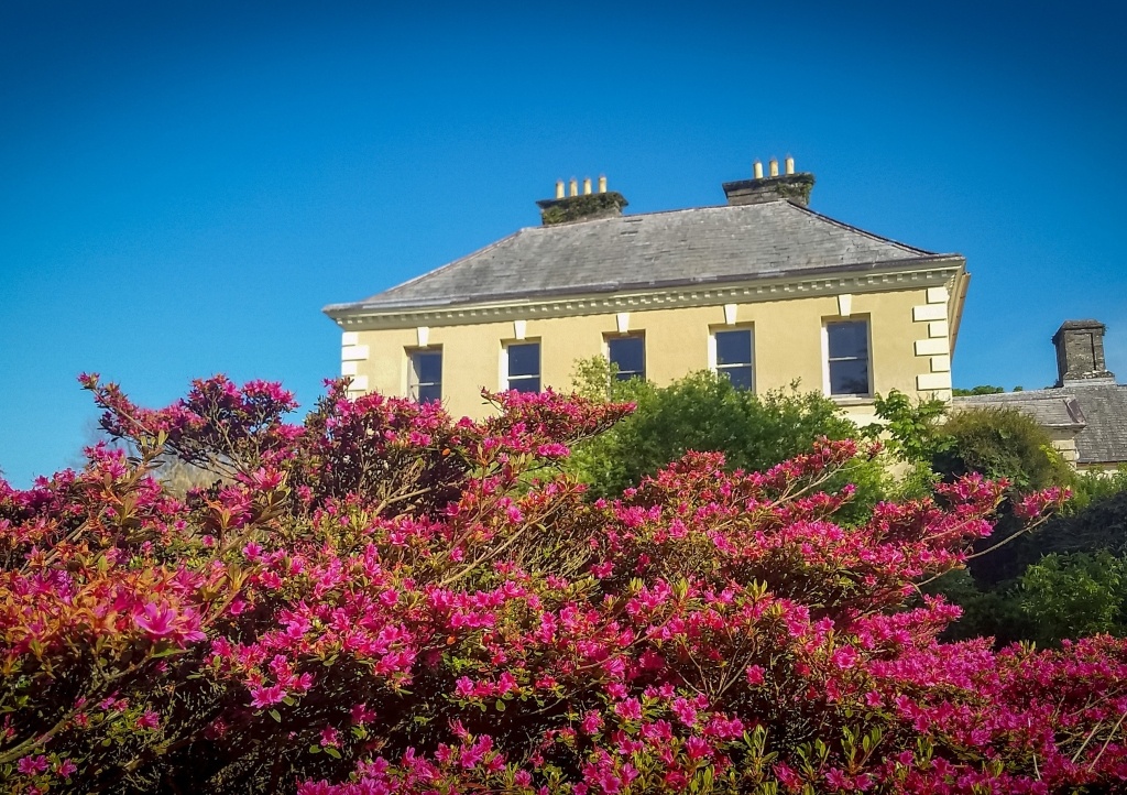 This summer Kelly House is opening it's grounds for picnic teas