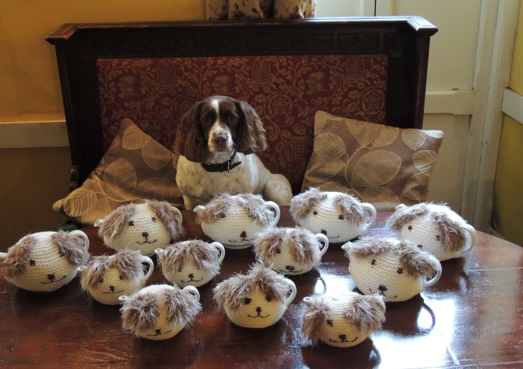 Mango the springer spaniel and the tea cosies knitted by Tors Inn local Margo Cockell.