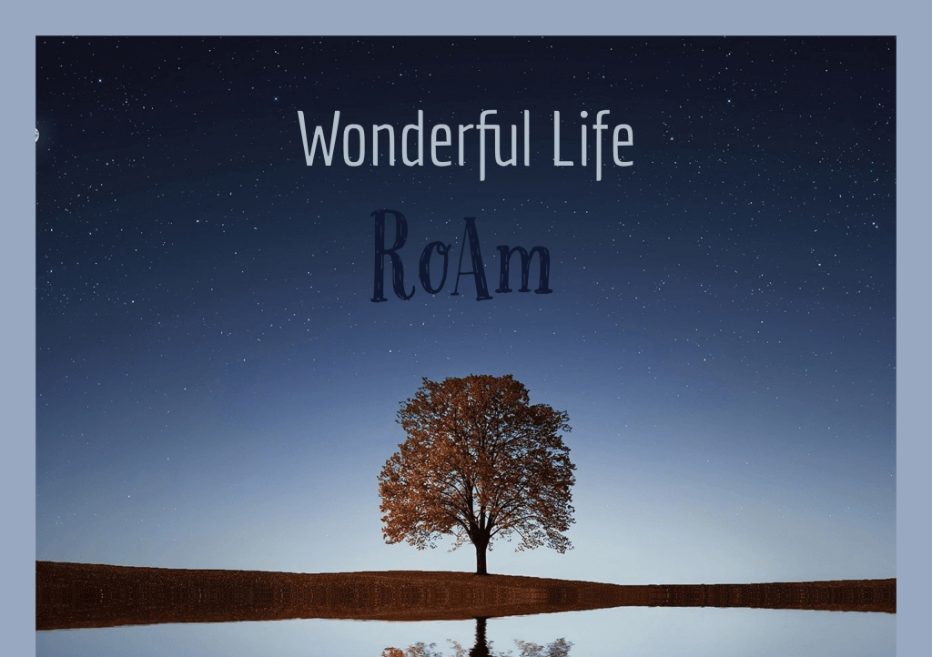 Wonderful-life-by-RoAm