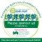 Bath Half 2025 - participant share - Please sponsor us