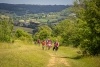 Chiltern 50 Ultra Challenge header image