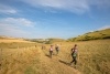 North Downs 50 Ultra Challenge header image