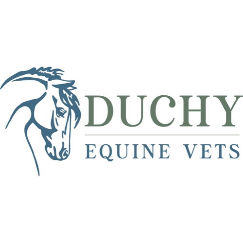 Duchy Equine Vets