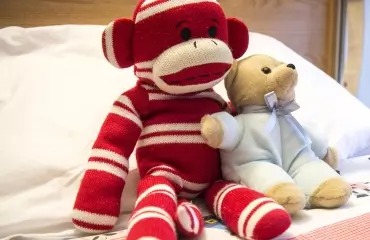 Toy monkey and bear on a bed